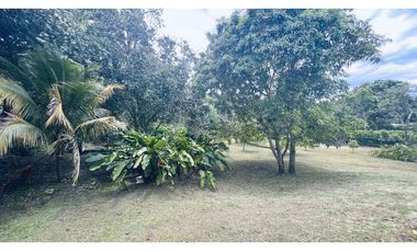 VENDO FINCA EN VILLETA