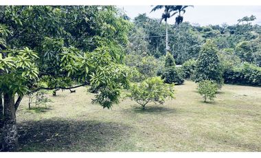 VENDO FINCA EN VILLETA
