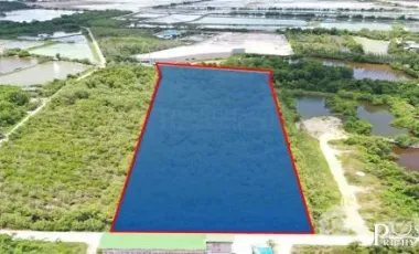 Land for sale in Ban Bo, Samut Sakhon