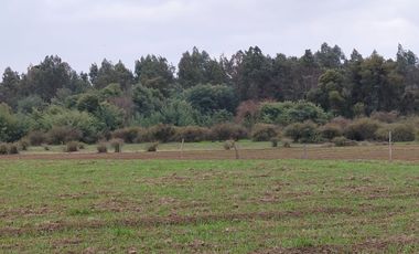 CAMPO AGRÍCOLA DE 27,5 HA CERCANO A LINARES