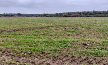 CAMPO AGRÍCOLA DE 27,5 HA CERCANO A LINARES