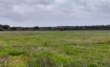CAMPO AGRÍCOLA DE 27,5 HA CERCANO A LINARES