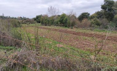 CAMPO AGRÍCOLA DE 27,5 HA CERCANO A LINARES