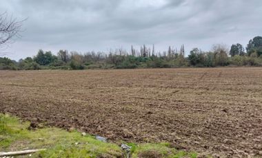 CAMPO AGRÍCOLA DE 27,5 HA CERCANO A LINARES