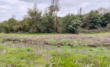 CAMPO AGRÍCOLA DE 27,5 HA CERCANO A LINARES