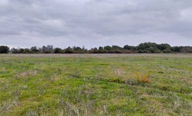 CAMPO AGRÍCOLA DE 27,5 HA CERCANO A LINARES