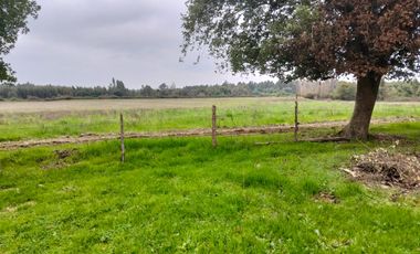 CAMPO AGRÍCOLA DE 27,5 HA CERCANO A LINARES