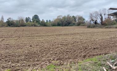 CAMPO AGRÍCOLA DE 27,5 HA CERCANO A LINARES