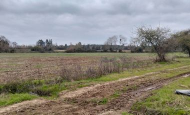 CAMPO AGRÍCOLA DE 27,5 HA CERCANO A LINARES