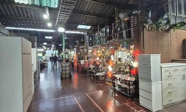 PERSA LAS GANGAS BIO BIO