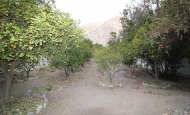 Casa en venta  en VICUÑA