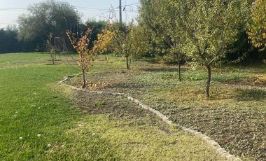 ARRIENDO PARCELA 5000MTS Lampa