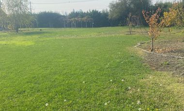 ARRIENDO PARCELA 5000MTS Lampa