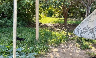 VENTA CASA 2 dormitorios en  San Carlos Sud.-