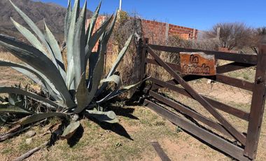 CASA CON CABAÑAS EN VENTA