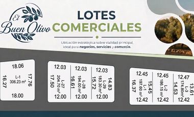 TERRENO COMERCIAL EN VENTA EN EL BUEN OLIVO, LERDO DURANGO