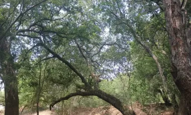 Terreno en venta en Canoas, Montemorelos, Nuevo León