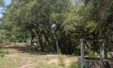 Terreno en venta en Canoas, Montemorelos, Nuevo León
