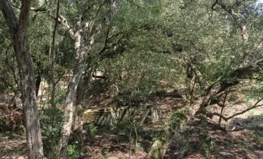 Terreno en venta en Canoas, Montemorelos, Nuevo León