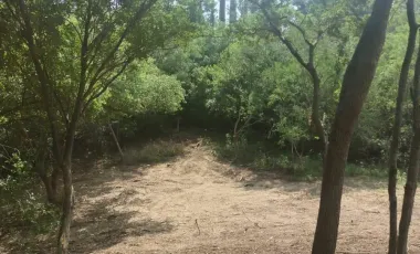 Terreno en venta en Canoas, Montemorelos, Nuevo León