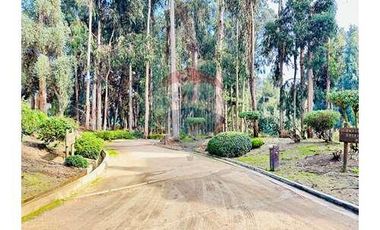 JARDIN PRIVADO CON VISTA PRIVILEGIADA AL MAR