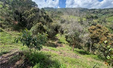 Lote Independiente Sector Aeropuerto con vista y bosque