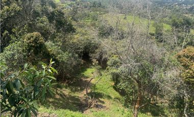 Lote Independiente Sector Aeropuerto con vista y bosque