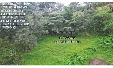 Lote de 1000 m² con bosque  en Marinilla - vereda Chochomayo