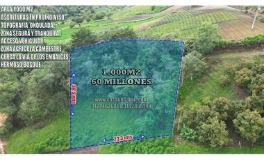 Lote de 1000 m² con bosque  en Marinilla - vereda Chochomayo