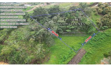 Lote de 1000 m² con bosque  en Marinilla - vereda Chochomayo