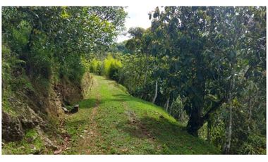 (V.I) FINCA DE RECREO UBICADO EN EL RETIRO VEREDA CARRIZALES