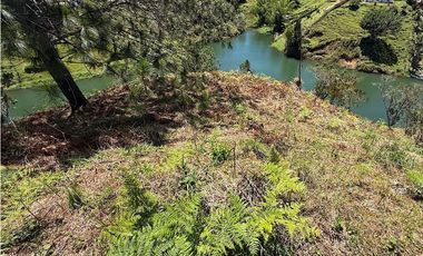 Lote en venta en El Peñol, Vereda el Morro