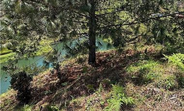 Lote en venta en El Peñol, Vereda el Morro