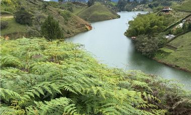 Lote en venta con Cabaña en El Peñol, Con acceso al embalse.