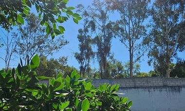 Casa nueva rodeada de árboles y jardin 1050M2 en fracc Real la Alfonsina
