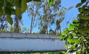 Casa nueva rodeada de árboles y jardin 1050M2 en fracc Real la Alfonsina