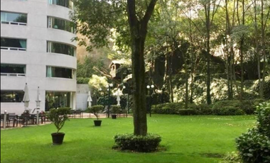 DEPARTAMENTO EN RENTA EN LOMAS DE CHAPULTEPEC