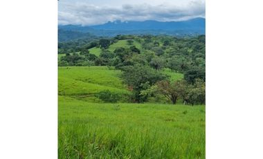 Finca San Lorenzo, Chiriquí (RSdeR)