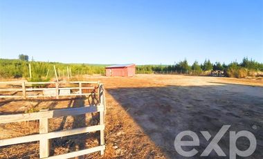 Casa en Venta en Vende L43 Parcela con casa 178 m2 Alto colorado Pichilemu