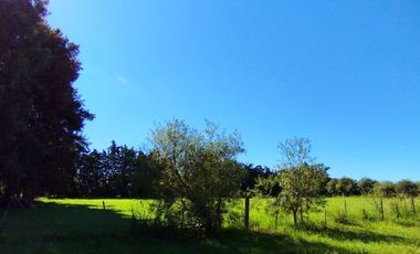VENTA LOTE EN ACEVEDO ARROYO SECO