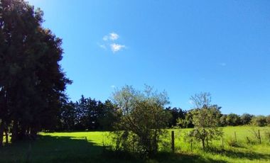 VENTA LOTE EN ACEVEDO ARROYO SECO