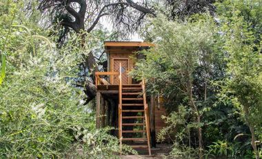VENTA DE COMPLEJO DE CABAÑAS PERMACULTURA