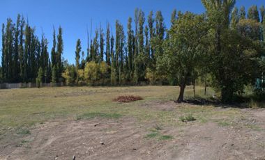ALQUILER LOTE 5000 M2 FUTALEUFU 425 PLOTTIER