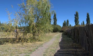 ALQUILER LOTE 5000 M2 FUTALEUFU 425 PLOTTIER