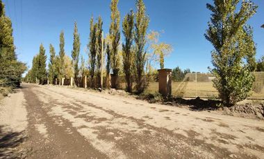ALQUILER LOTE 5000 M2 FUTALEUFU 425 PLOTTIER