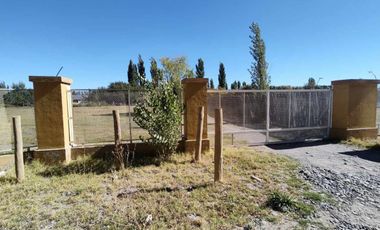 ALQUILER LOTE 5000 M2 FUTALEUFU 425 PLOTTIER