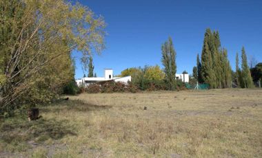 ALQUILER LOTE 5000 M2 FUTALEUFU 425 PLOTTIER