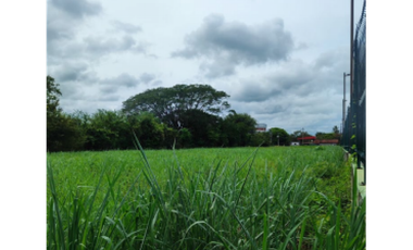 VENTA DE TERRENO EN HERRERA, CHITRE AREA COMERCIAL