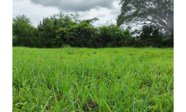 VENTA DE TERRENO EN HERRERA, CHITRE AREA COMERCIAL