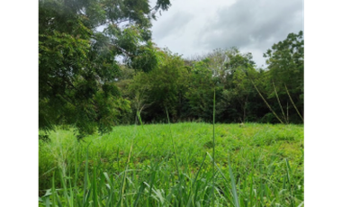 VENTA DE TERRENO EN HERRERA, CHITRE AREA COMERCIAL